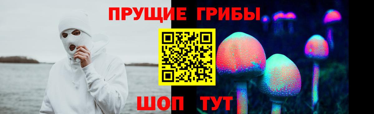 Галлюциногенные грибы Magic Shrooms  Вход с VPN  Анжеро-Судженск 