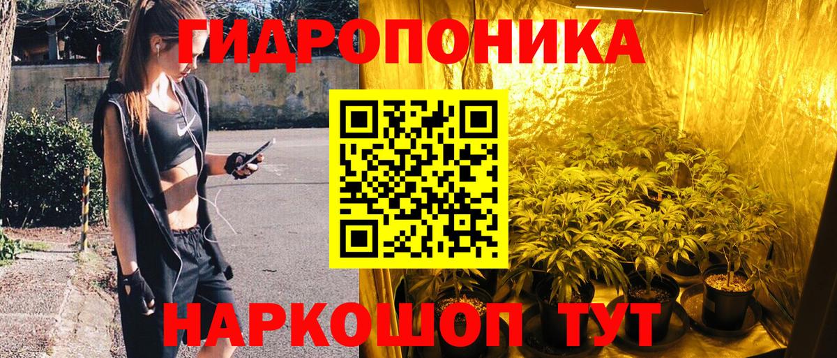 Бошки Шишки конопля Анжеро-Судженск
